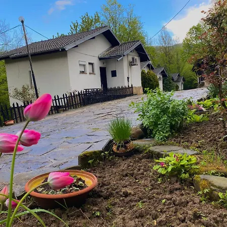 хотел света гора Hébergement de vacances *