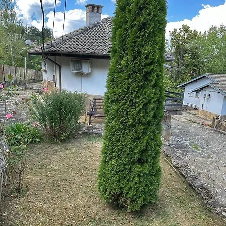 хотел света гора *